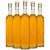 starter nocy dr bimber (8).jpg